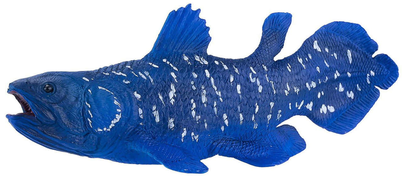 Blue Coelacanth Model Wallpaper