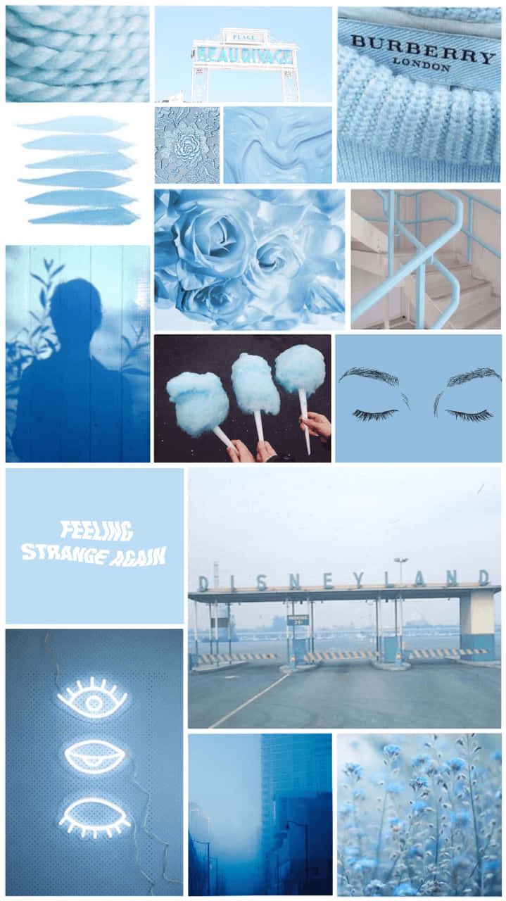Blue And White Collage With Various Pictures Wallpaper
