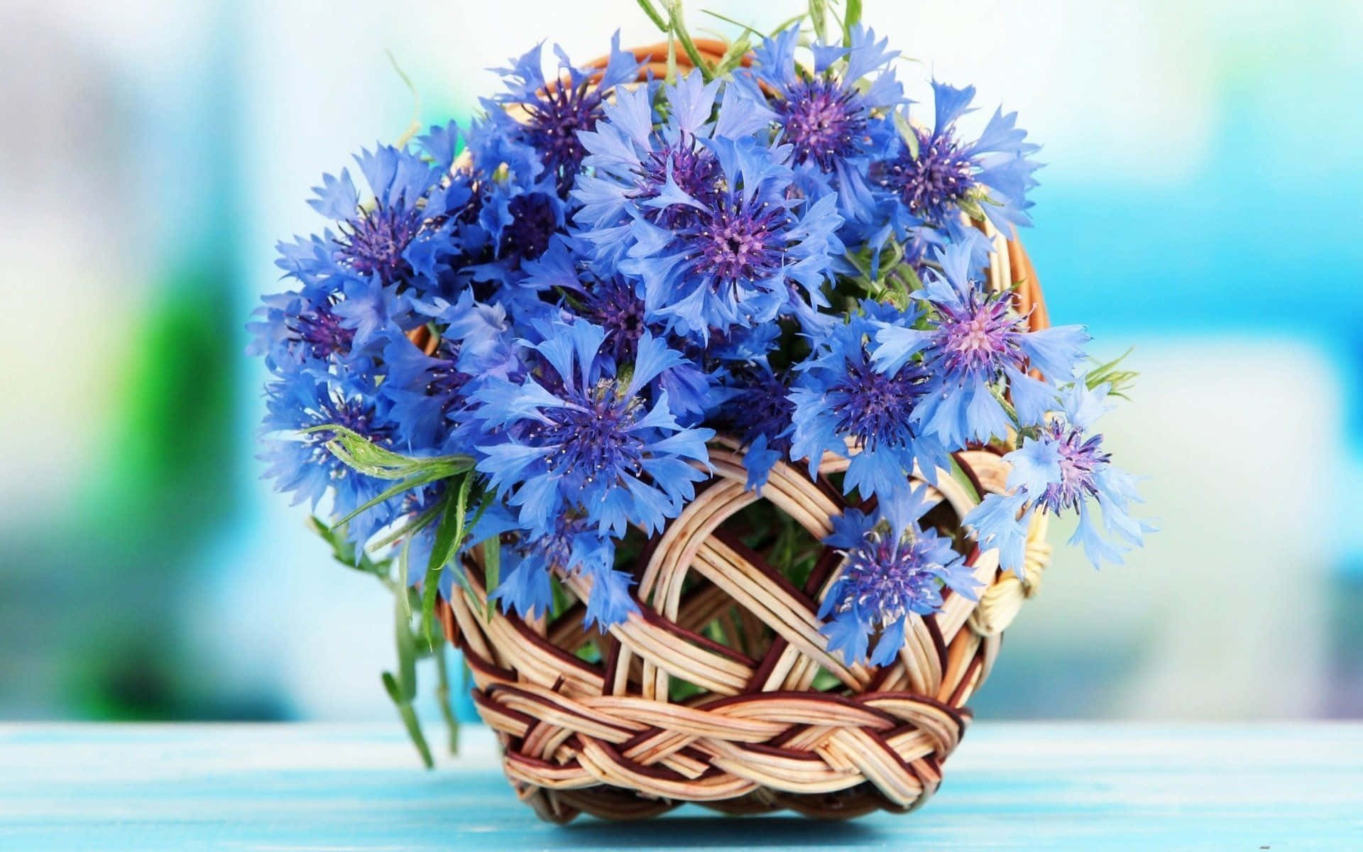 Blue Cornflowersin Wicker Basket Wallpaper