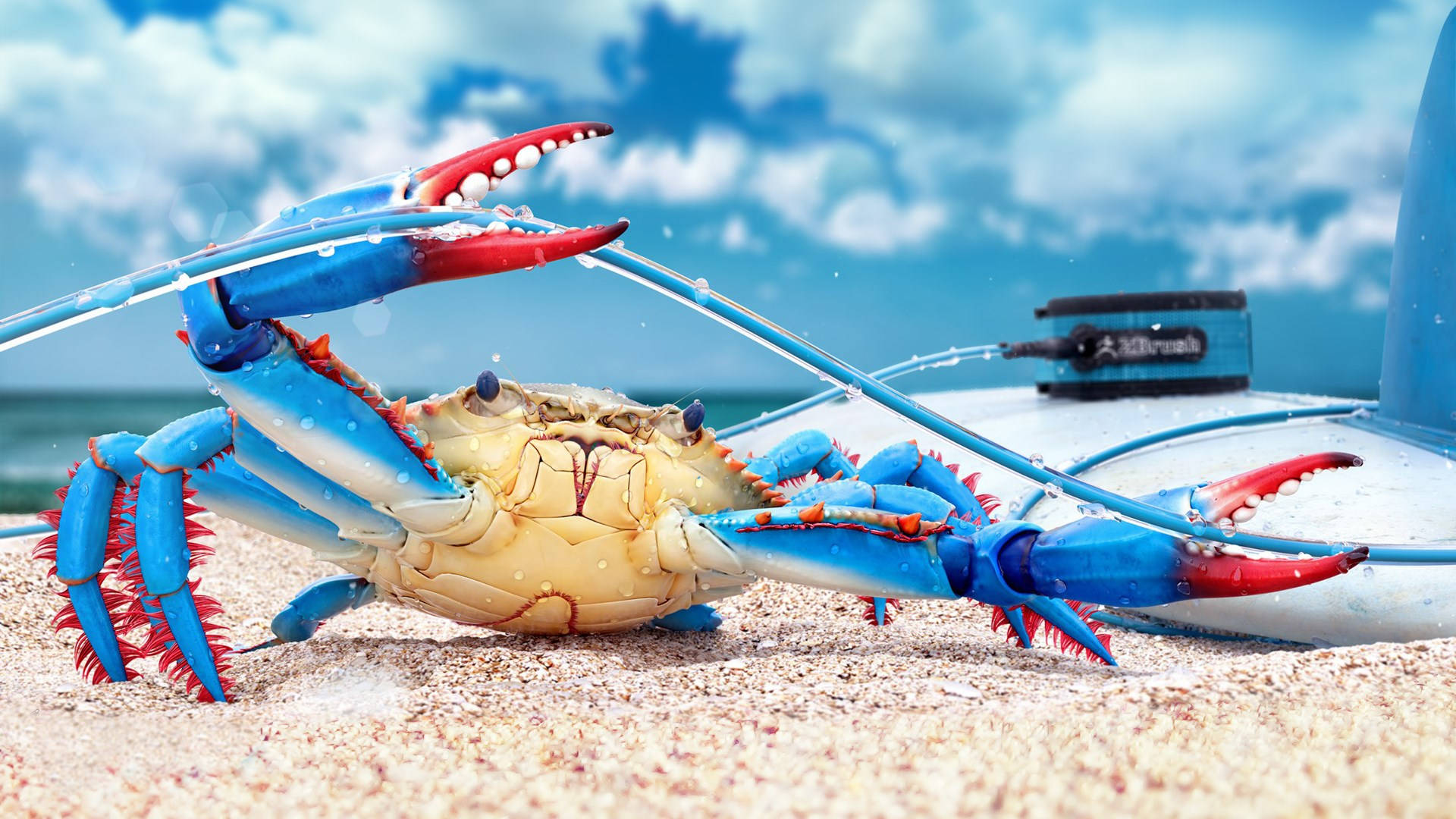 Blue Crab On Sand Wallpaper