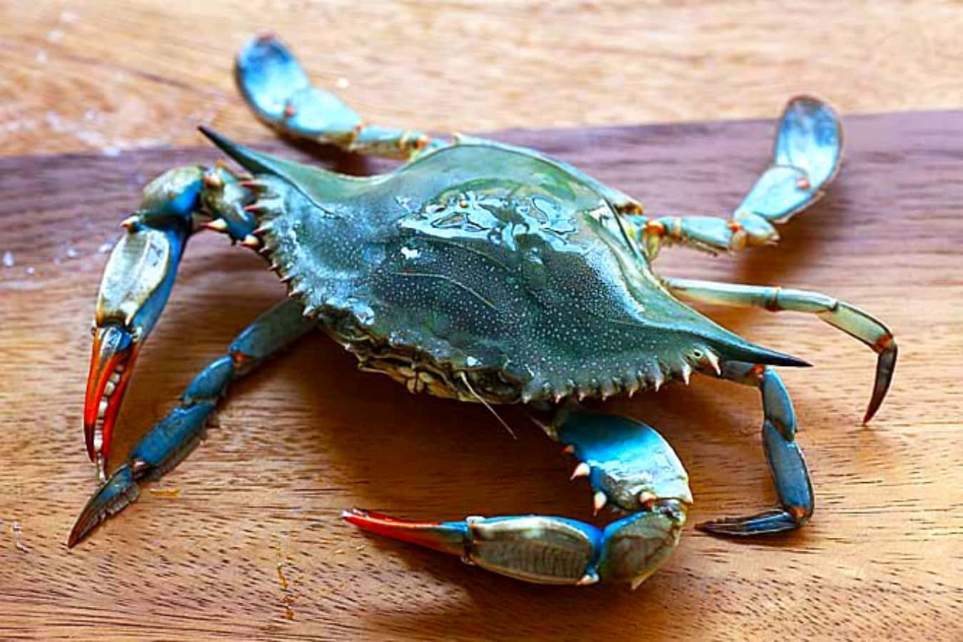 Blauwe Krab Op Houten Oppervlak Achtergrond