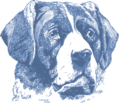 Blue Dog Sketch Art PNG