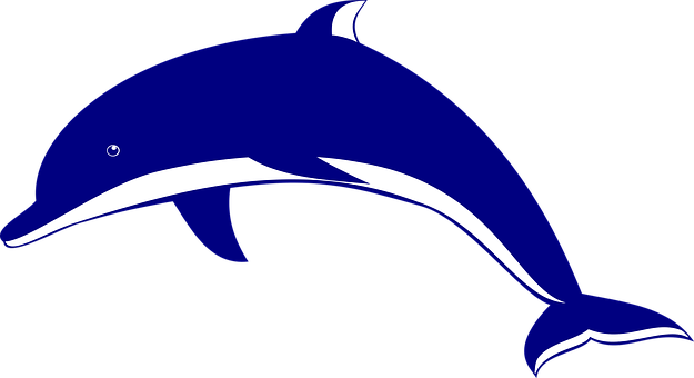 Blue Dolphin Graphic PNG