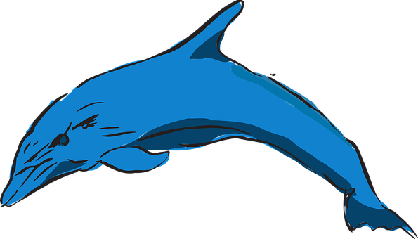 Blue Dolphin Illustration PNG