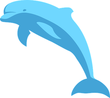 Blue Dolphin Vector Art PNG