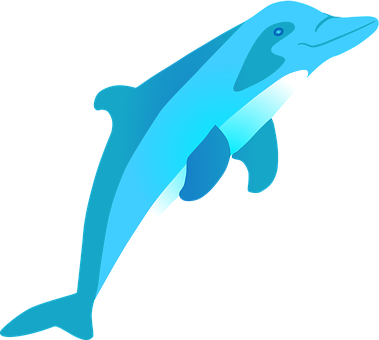 Blue Dolphin Vector Art PNG
