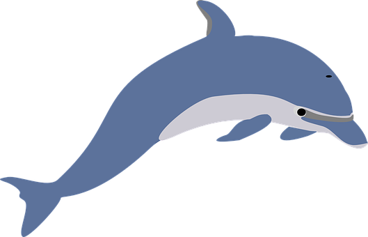 Blue Dolphin Vector Illustration PNG