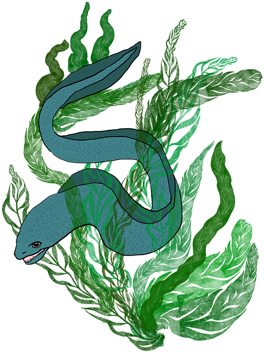 Blue Eel Among Seaweed Illustration PNG