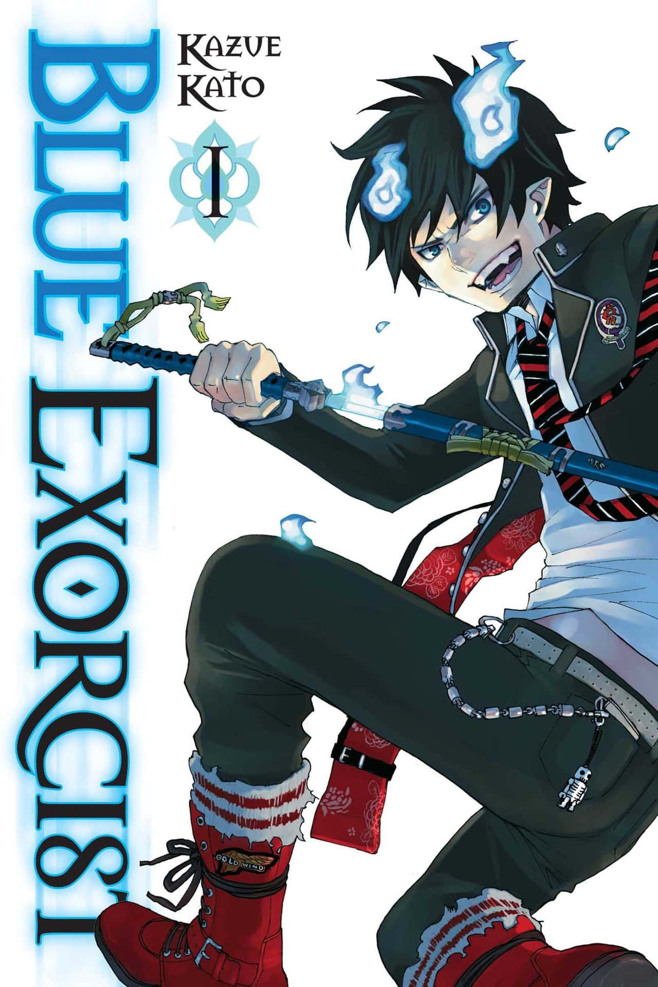 Rin,der Hauptprotagonist Von Blue Exorcist.