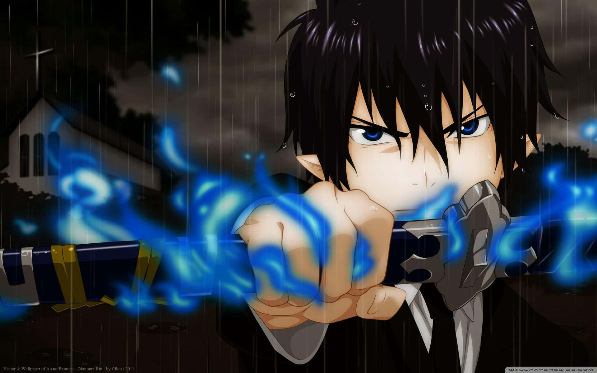 Rin Okumura, the protagonist of Blue Exorcist