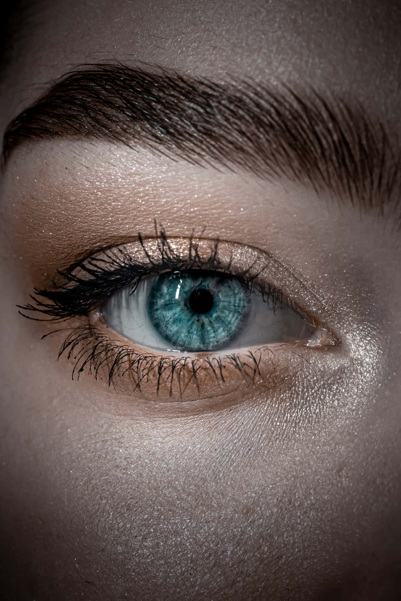 Blue Eye And Thick Brow Closeup Wallpaper