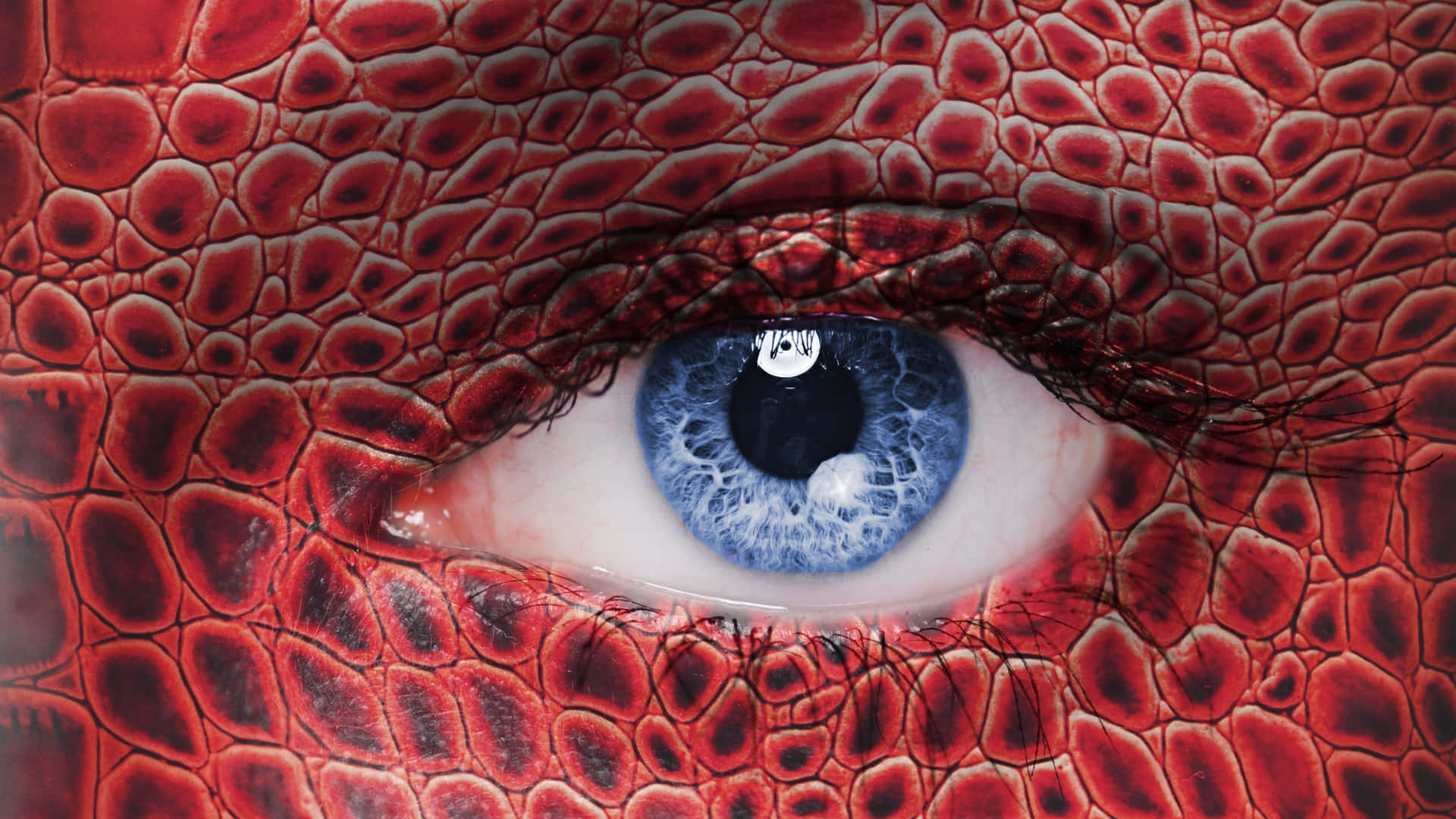 Download Blue Eye Closeup And Red Dragon Skin Wallpaper 