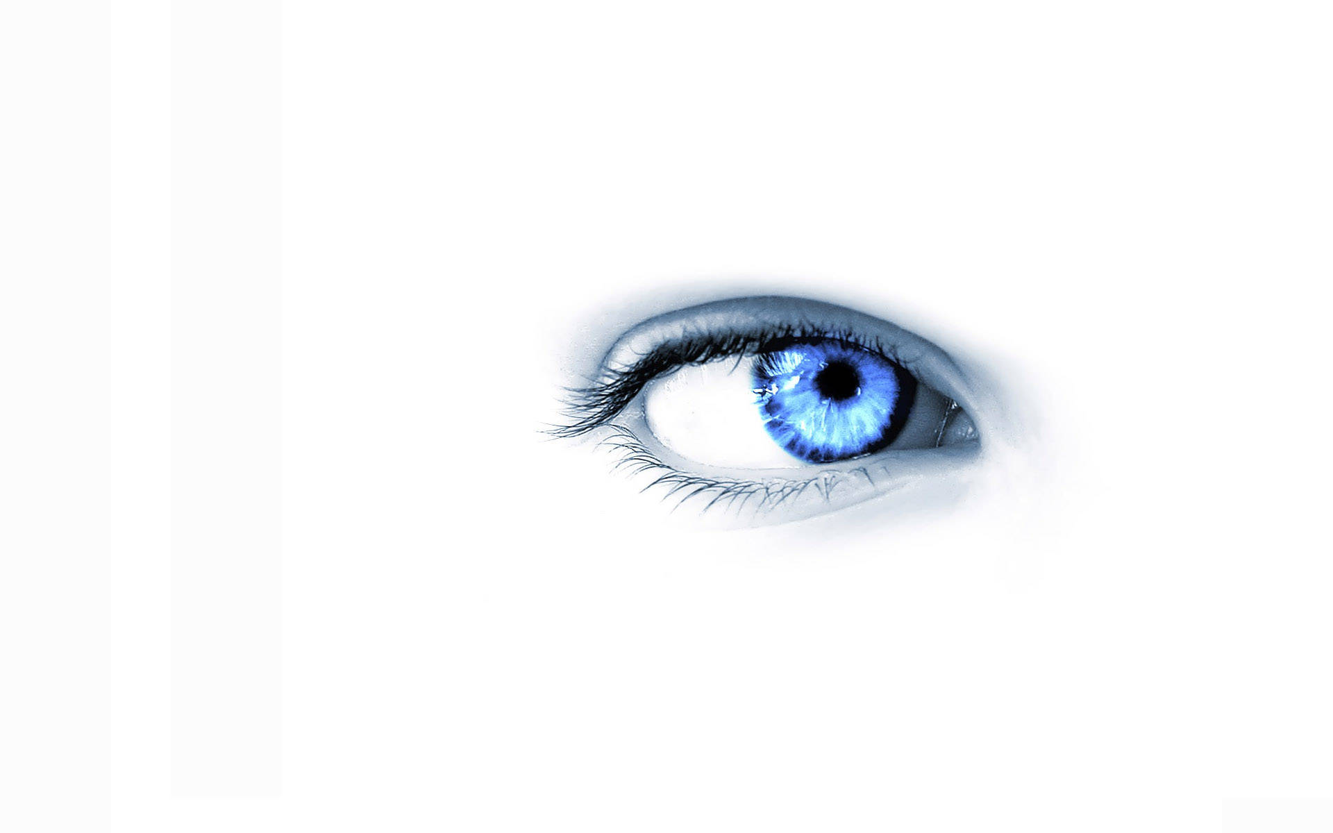 Blue Eye On Cool White Wallpaper
