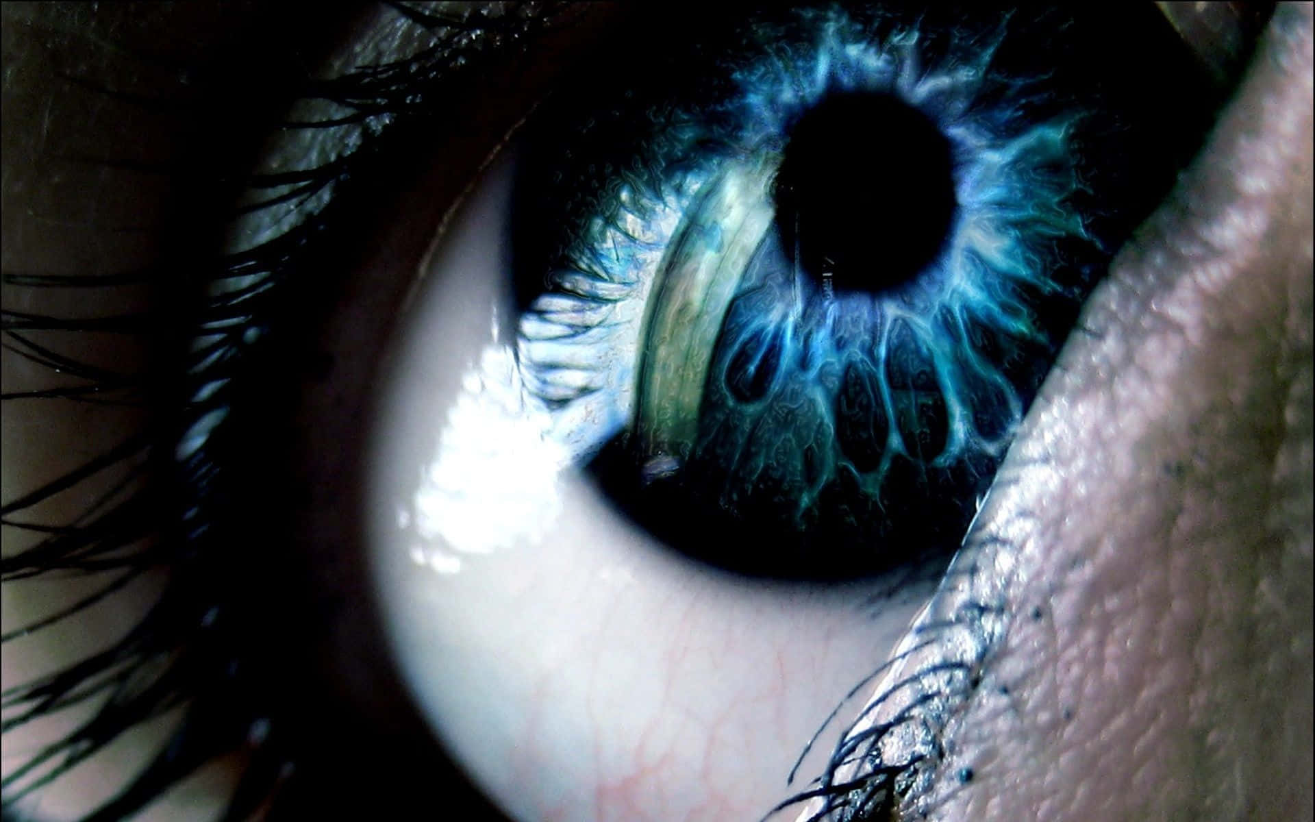 Blue Eye Rays Closeup Wallpaper