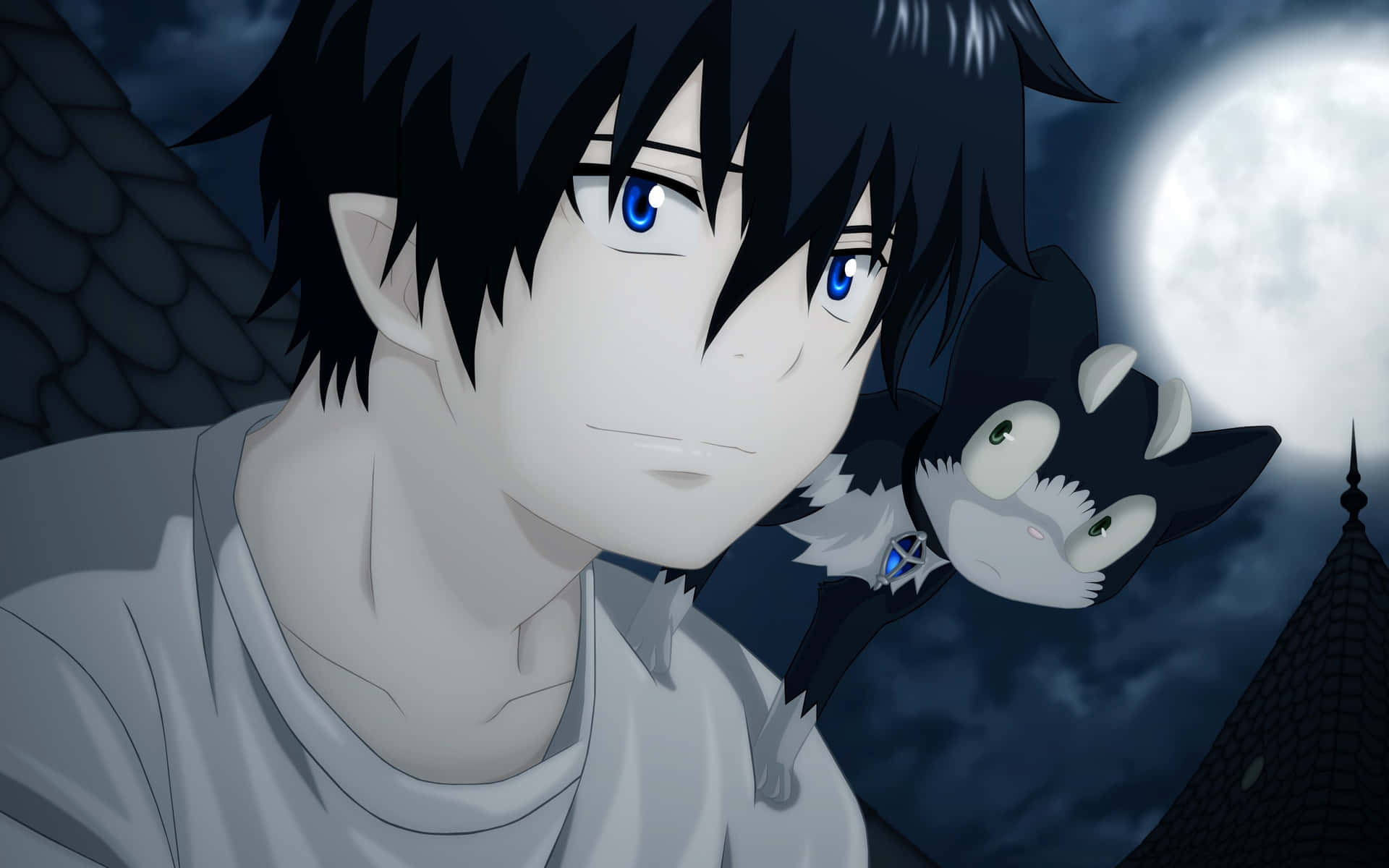 Blue Eyed Anime Boy With Black Cat Pfp Wallpaper