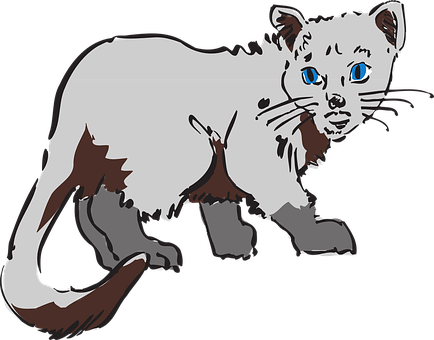 Blue Eyed Cat Illustration.png PNG