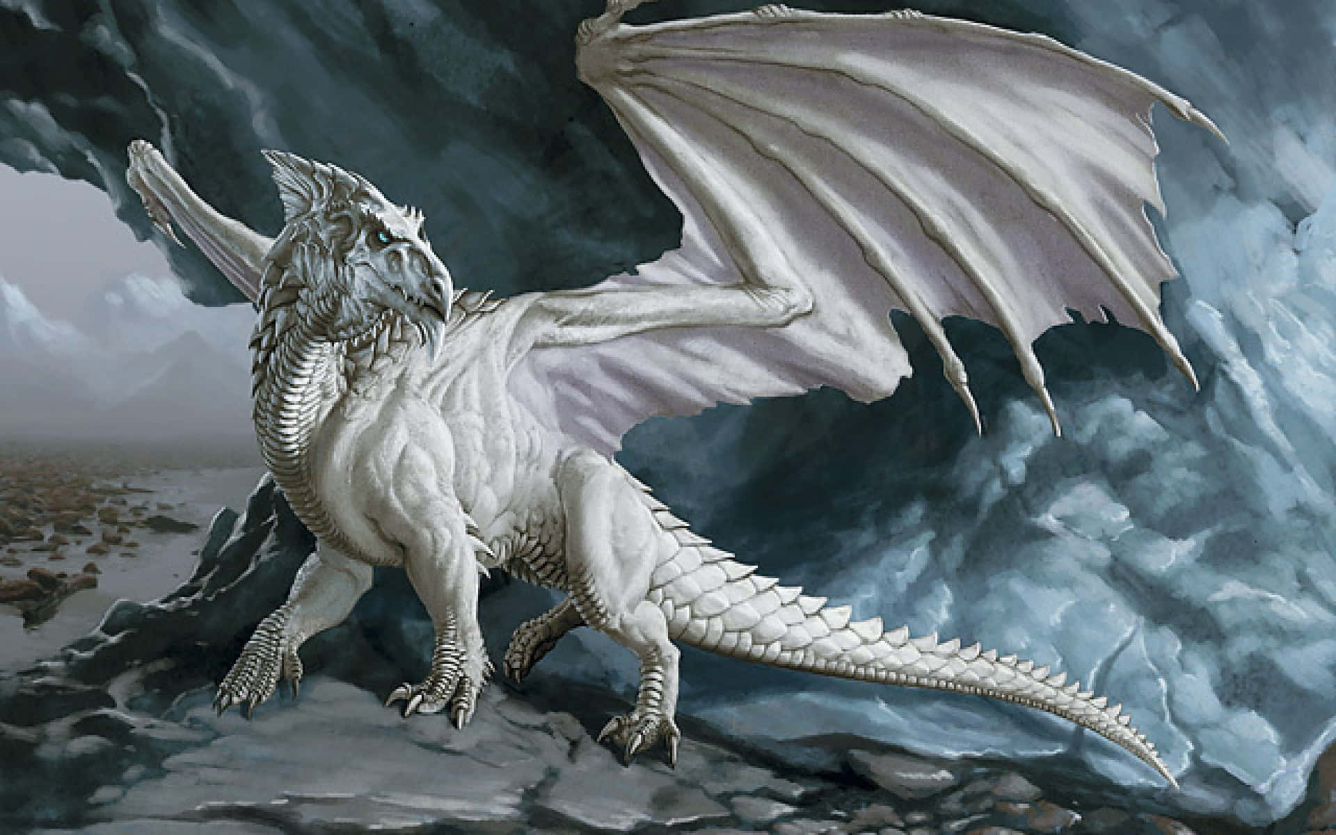 Blå Øjne Hvid Dragon Telefon Tema Wallpaper