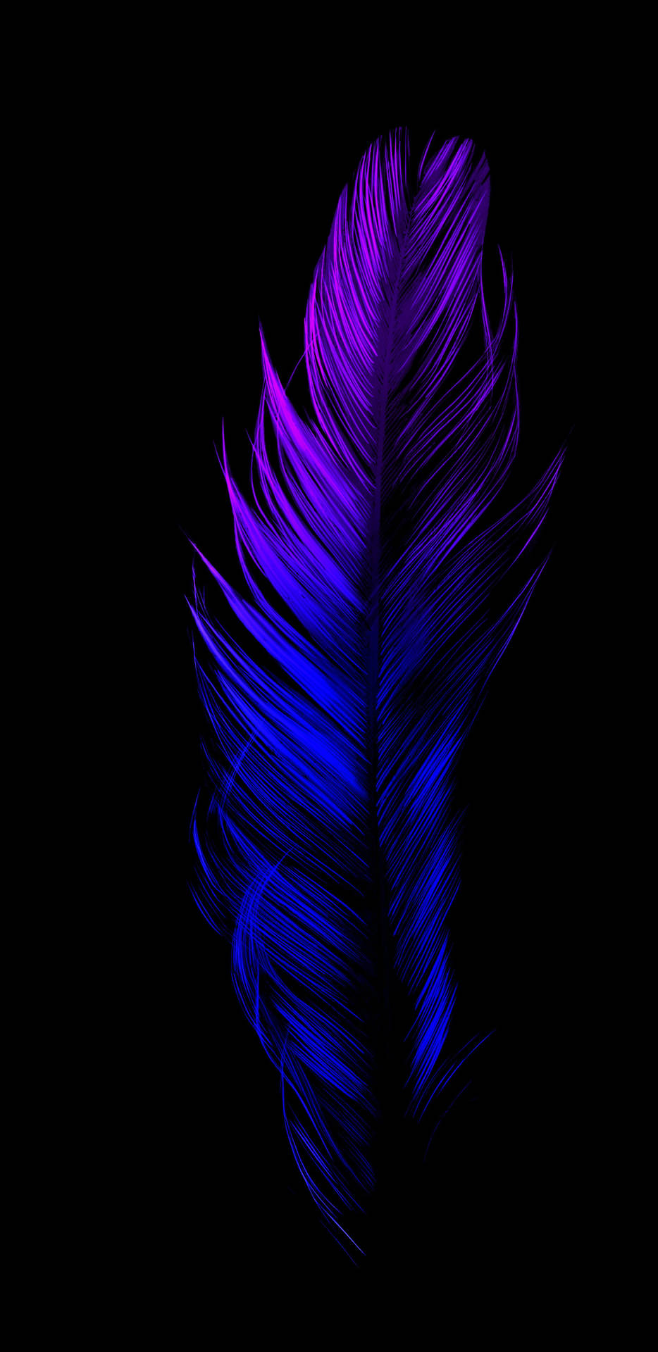 Download Blue Feather 2k Amoled Wallpaper 
