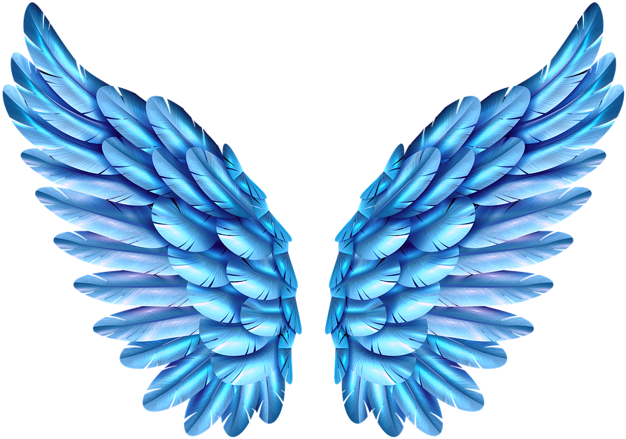 Blue Feathered Wings.png PNG