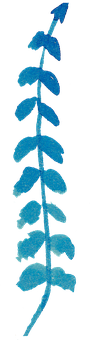 Blue Fern Leaf Artwork PNG