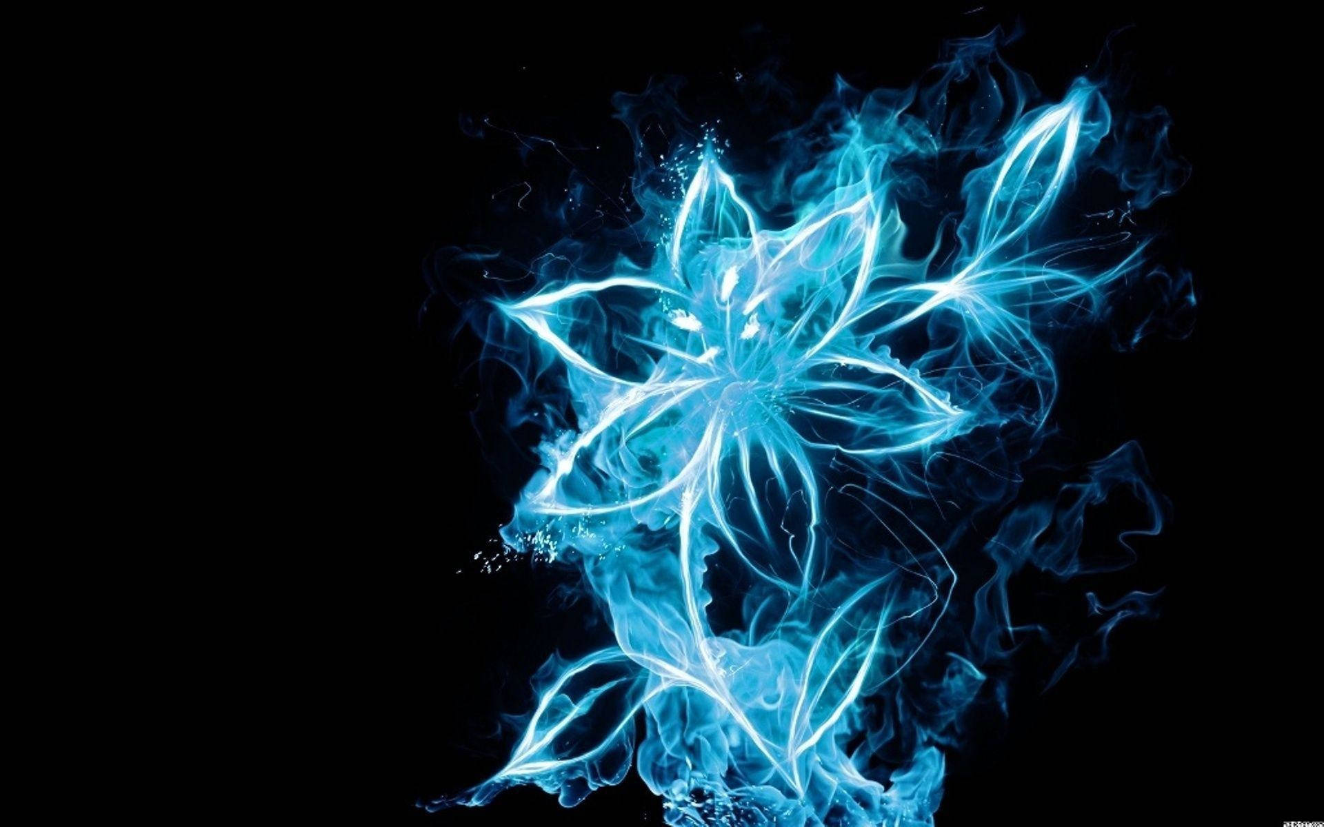 Blue Fire Flower Picture
