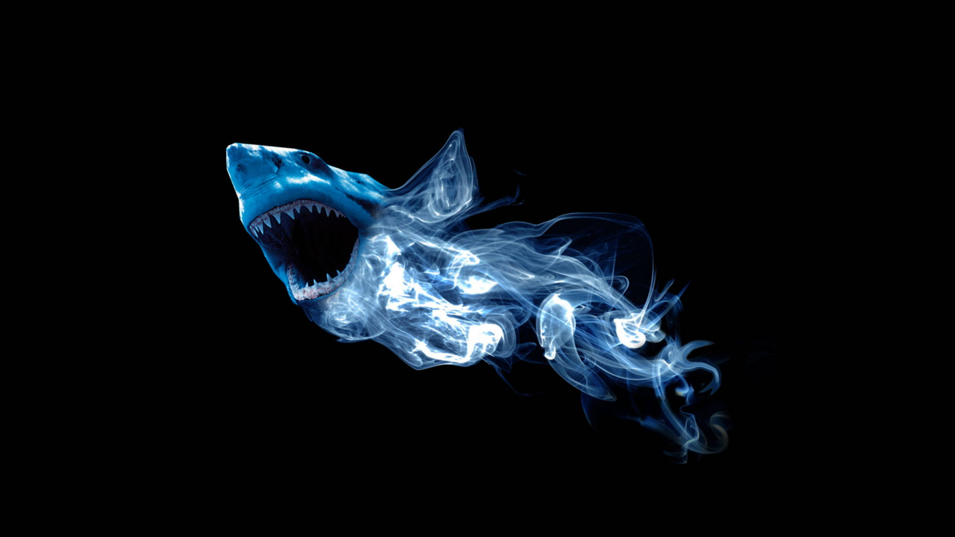 Blue Fire Shark Picture