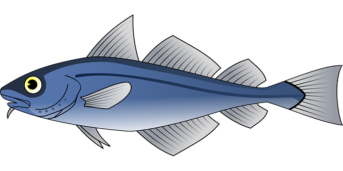 Blue Fish Illustration PNG