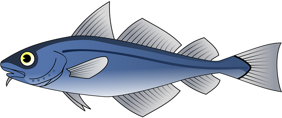 Blue Fish Illustration PNG