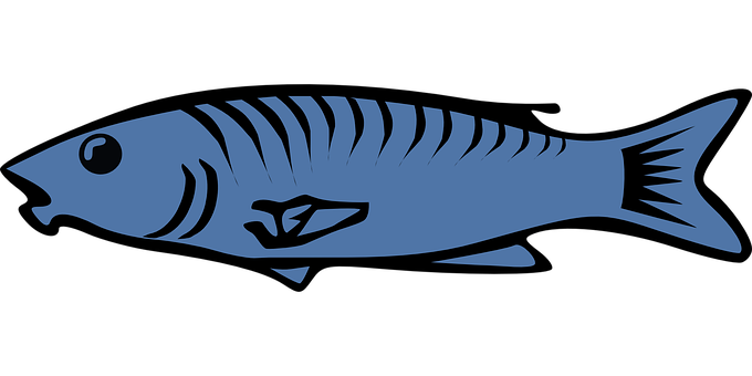 Blue Fish Silhouette Graphic PNG