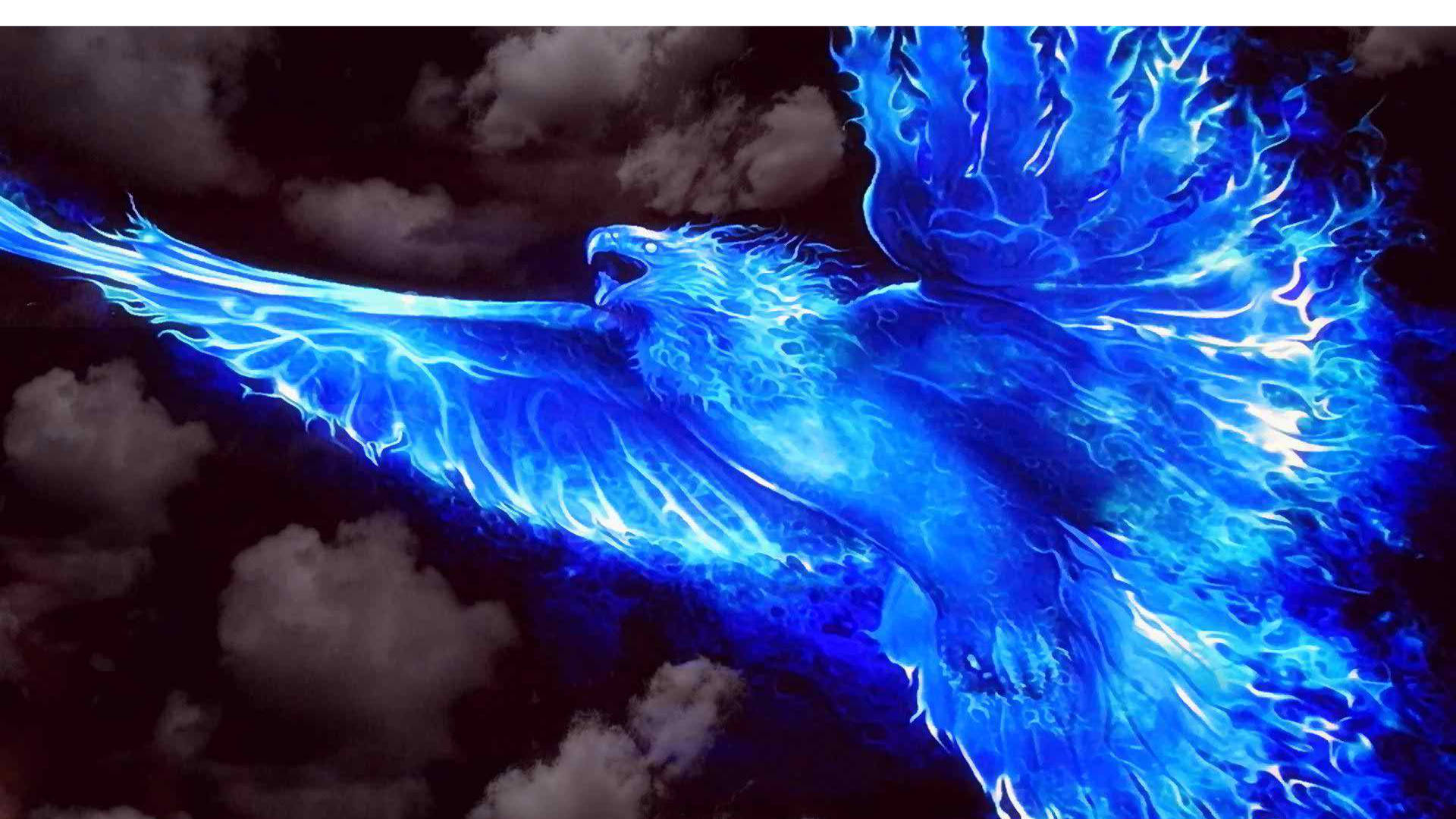 Blue Flames Bird Art Wallpaper