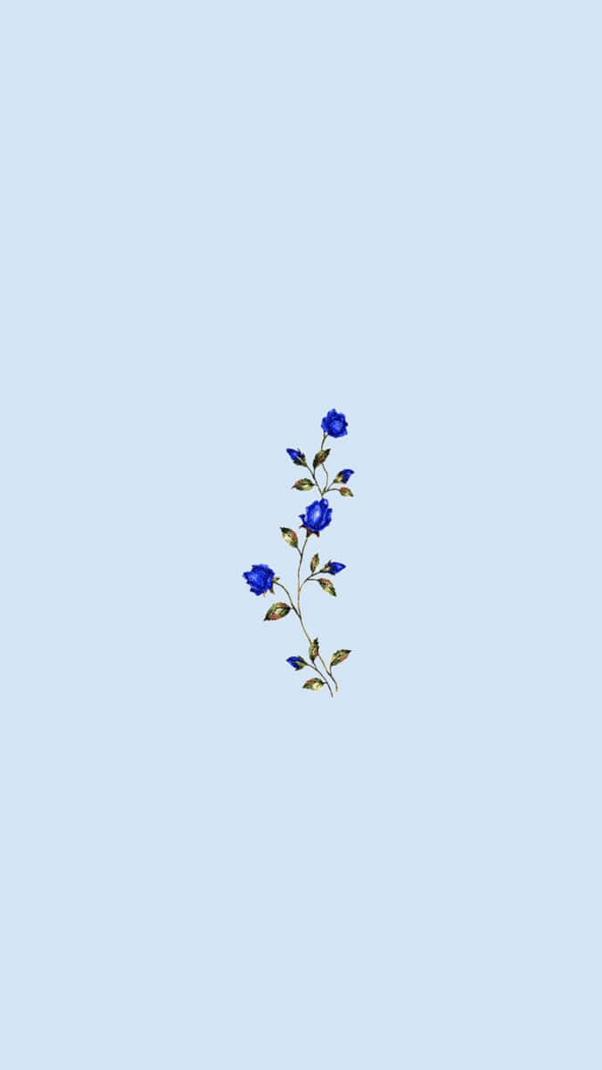 Blue Floral Aesthetic Wallpaper Wallpaper