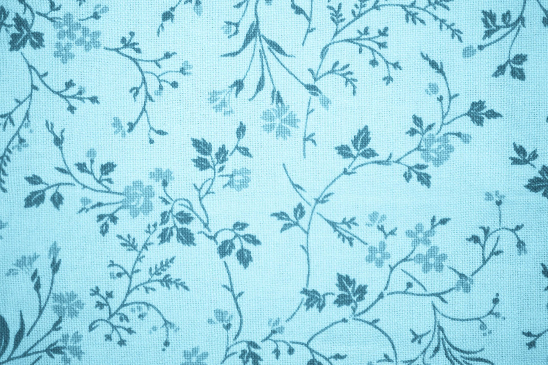 Experience the joy of a blissful summer with this cheerful blue floral background.