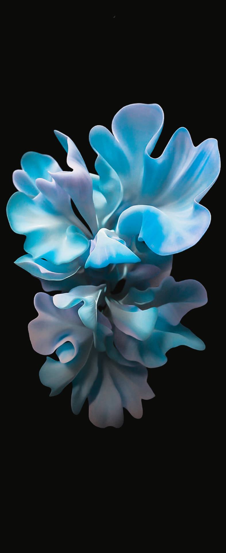 Blue Flower Art For Samsung S20 Fe Picture