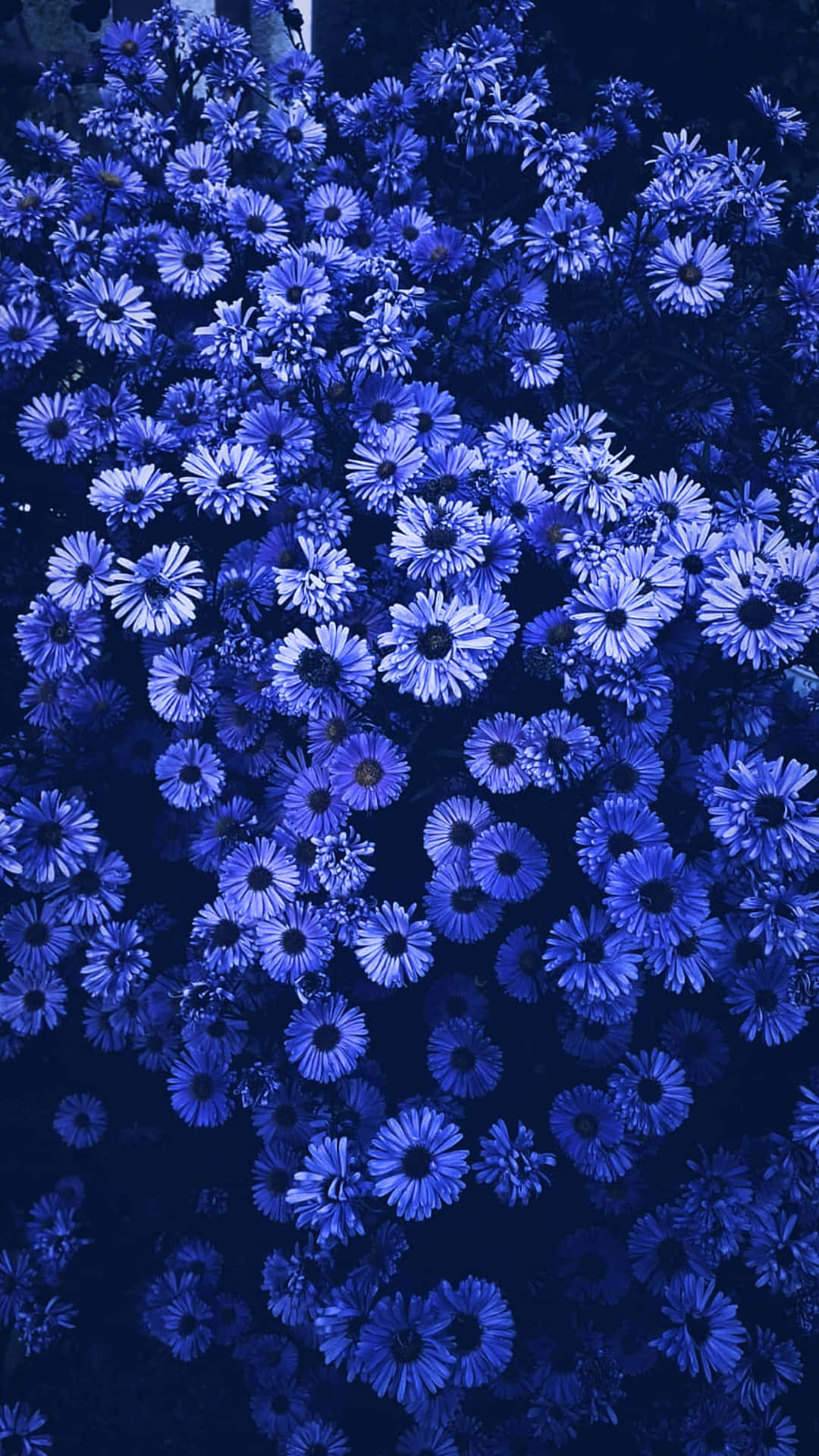 Et magisk blåt blomst står højt i midten af en livlig mark.