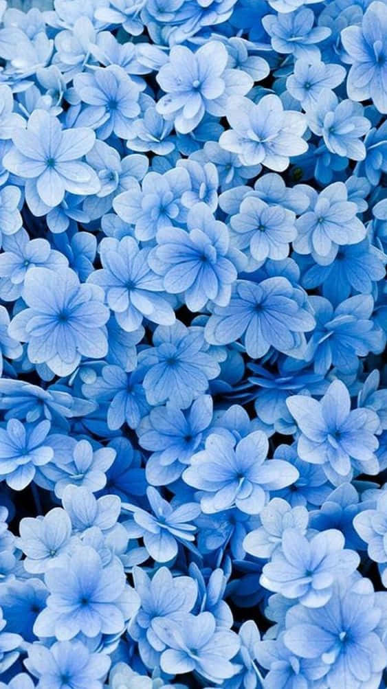 Tiny Pastel Blue Flowers Background