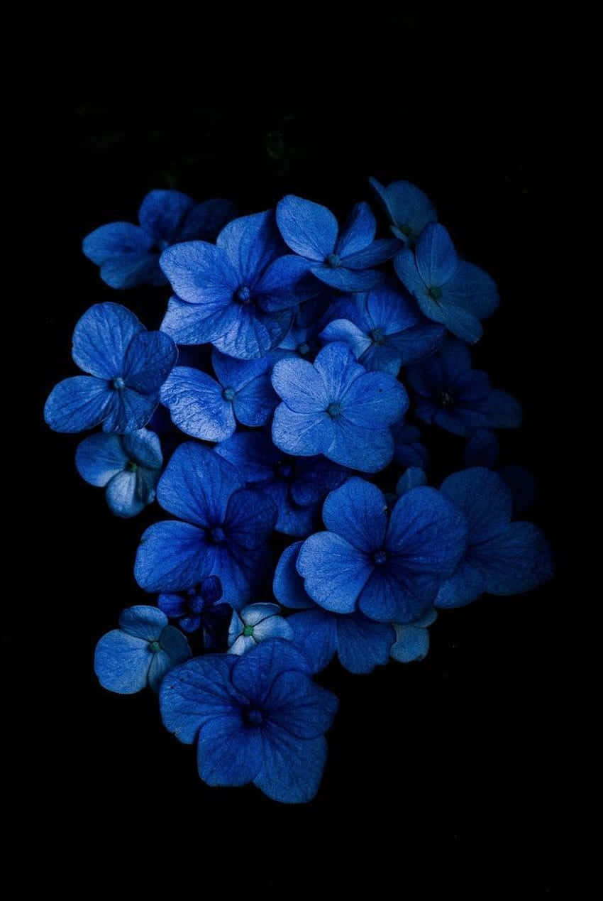 En lys, levende blå blomst som står ud mod et luksuriøst grønt baggrund.