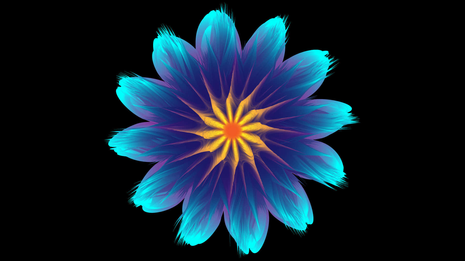 A Blue Flower With Yellow And Orange Petals Wallpaper