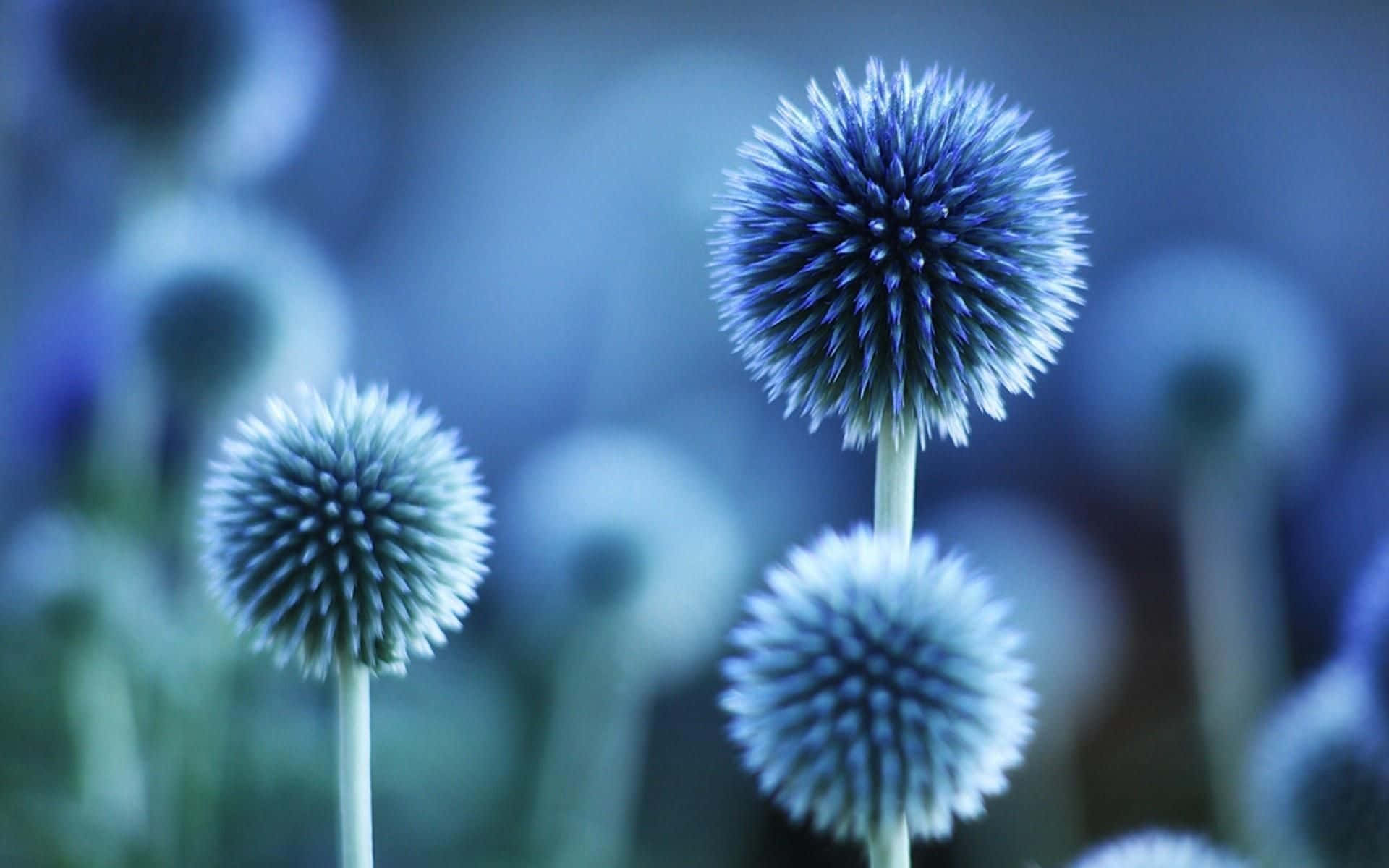 A blue flower blooming against a soft green background Wallpaper