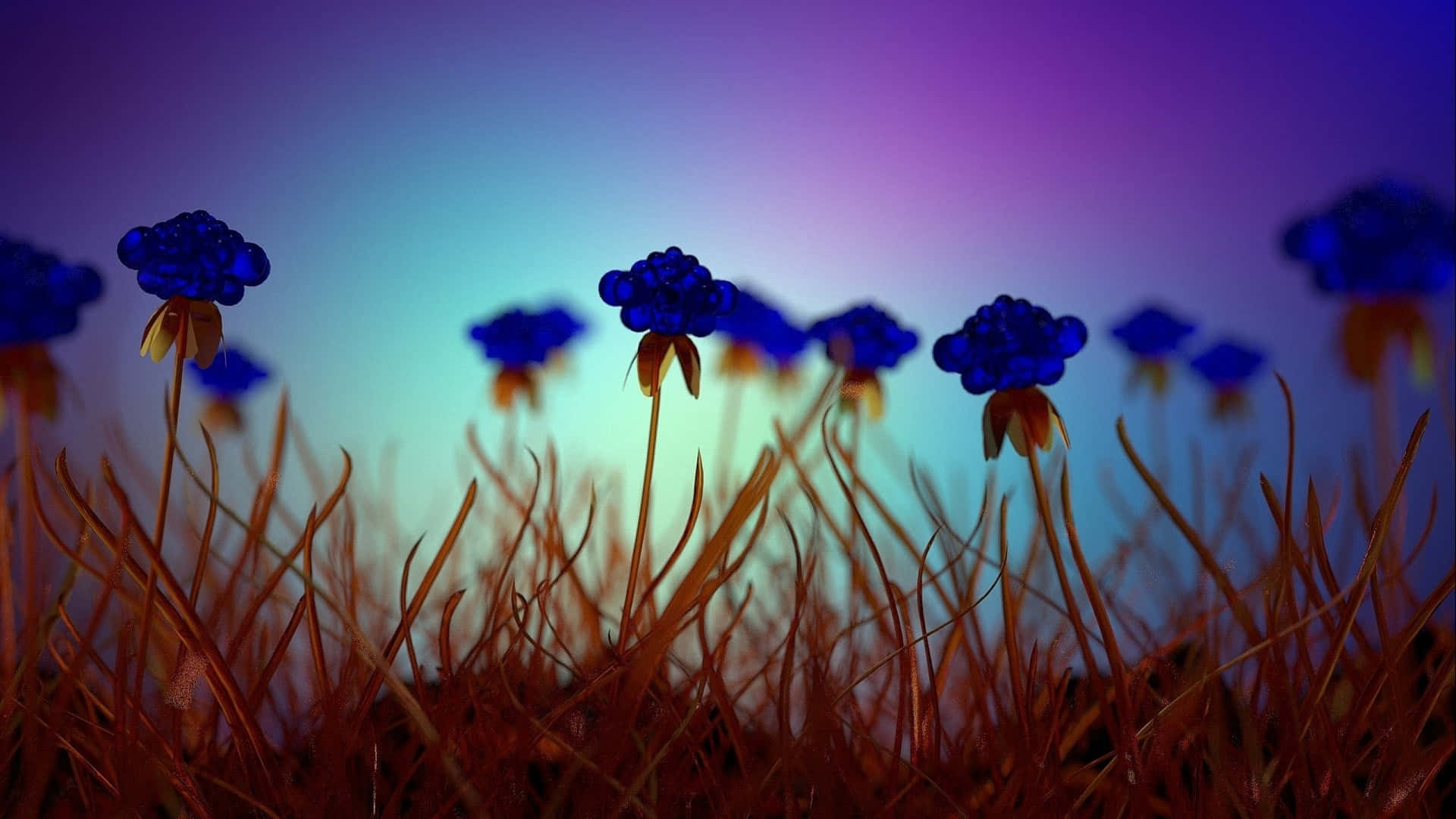 Blühendeblaue Blume Auf Einem Desktop Wallpaper