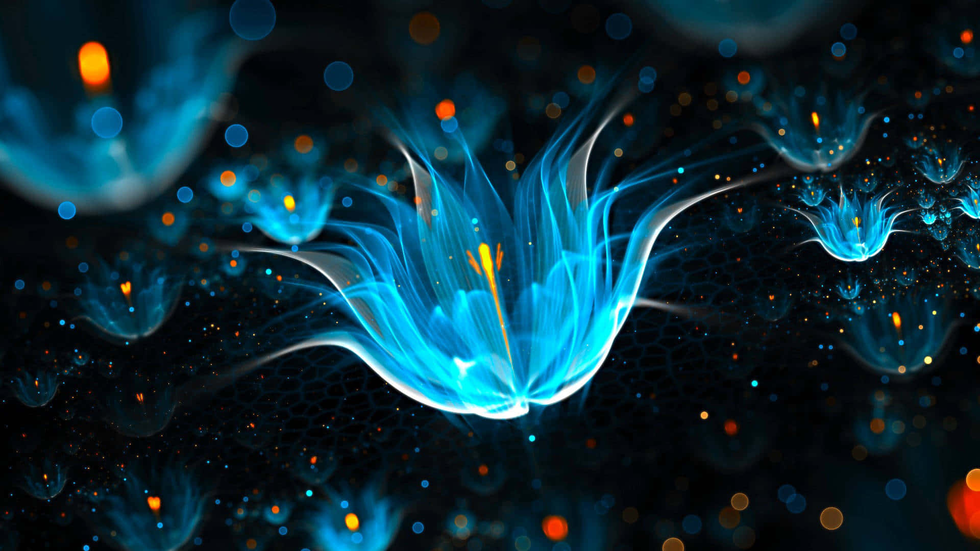 A Blue Flower With Glowing Lights In The Background Wallpaper