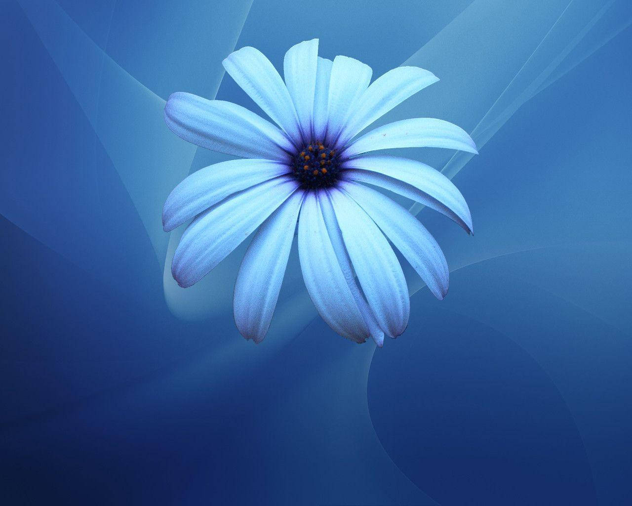 Blue Flower Graphic In Abstract Backdrop Wallpaper