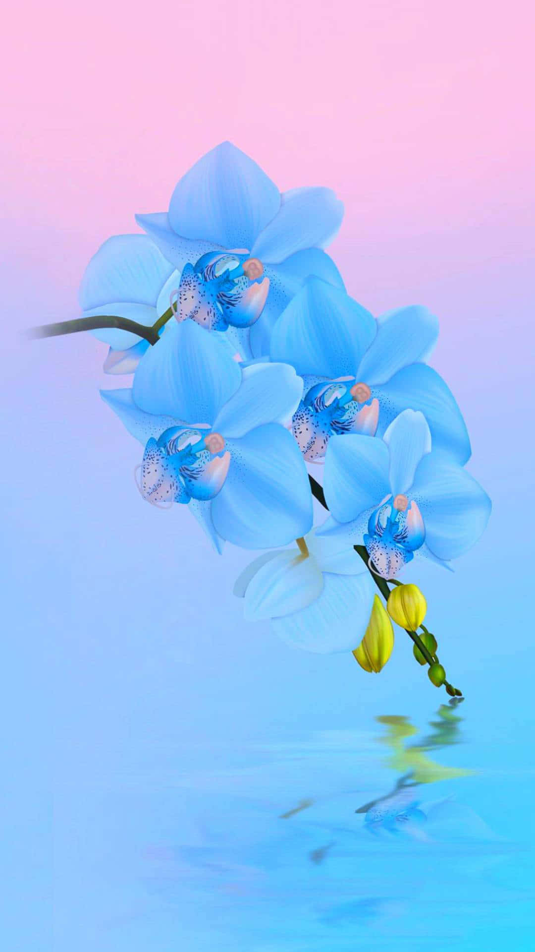 Sea Blue Flowers With Pink Sky Picture