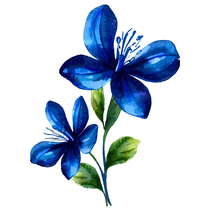 Download Blue Flower Watercolor Png 49 | Wallpapers.com