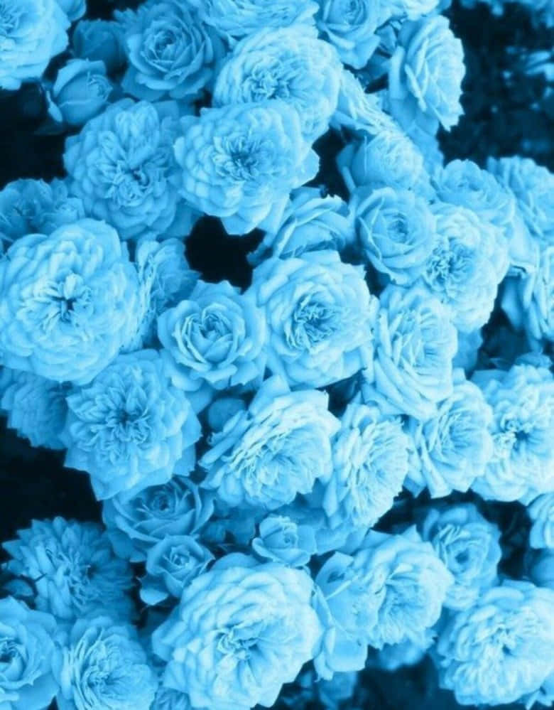 Bouquetdi Fiori Blu Estetici Sfondo