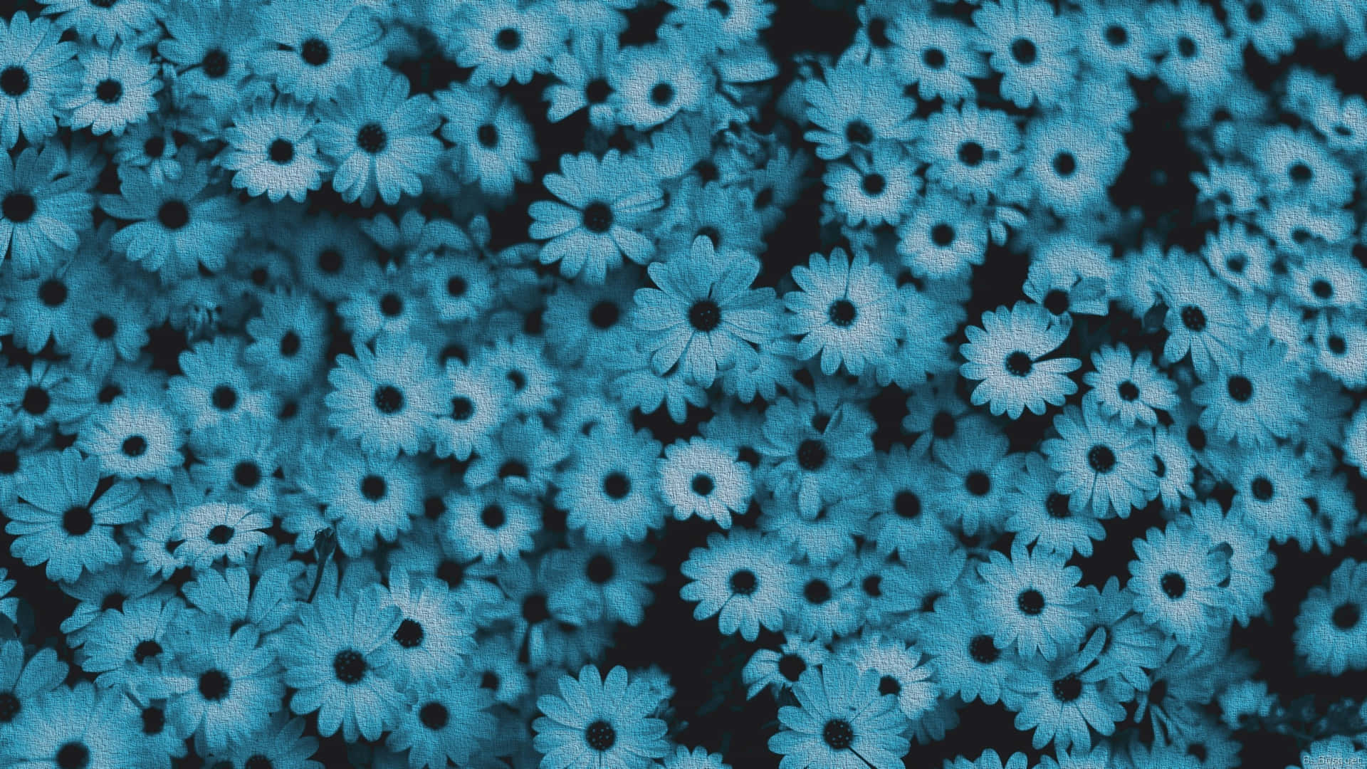 Blue Flowers Space Aesthetic Wallpaper