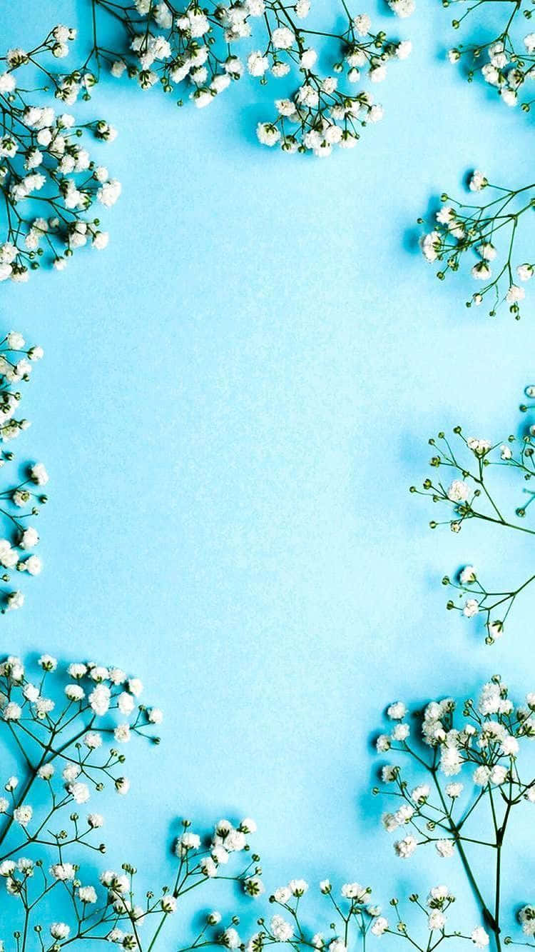 Blue Flowers Borders Aesthetic Wallpaper