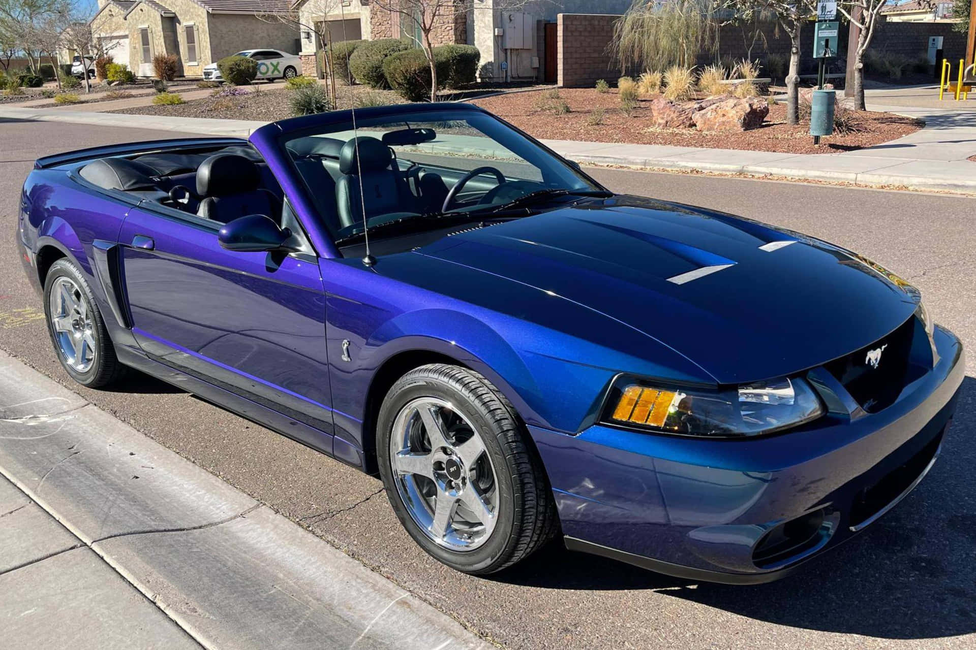 Ford Mustang S V T Cobra Convertible Bleue Fond d'écran