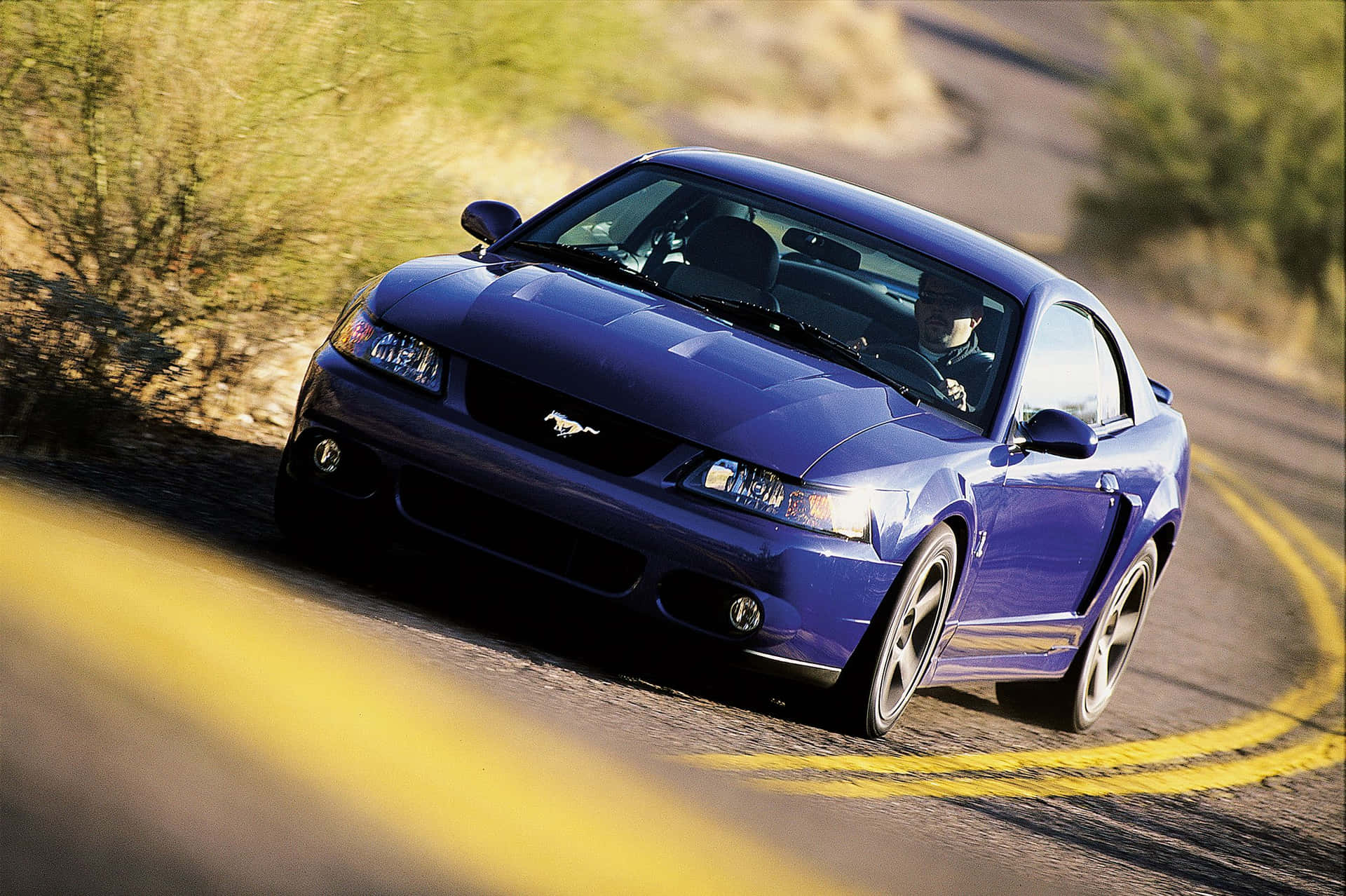 Blauwe Ford Mustang Svt Cobra Snelheid Achtergrond