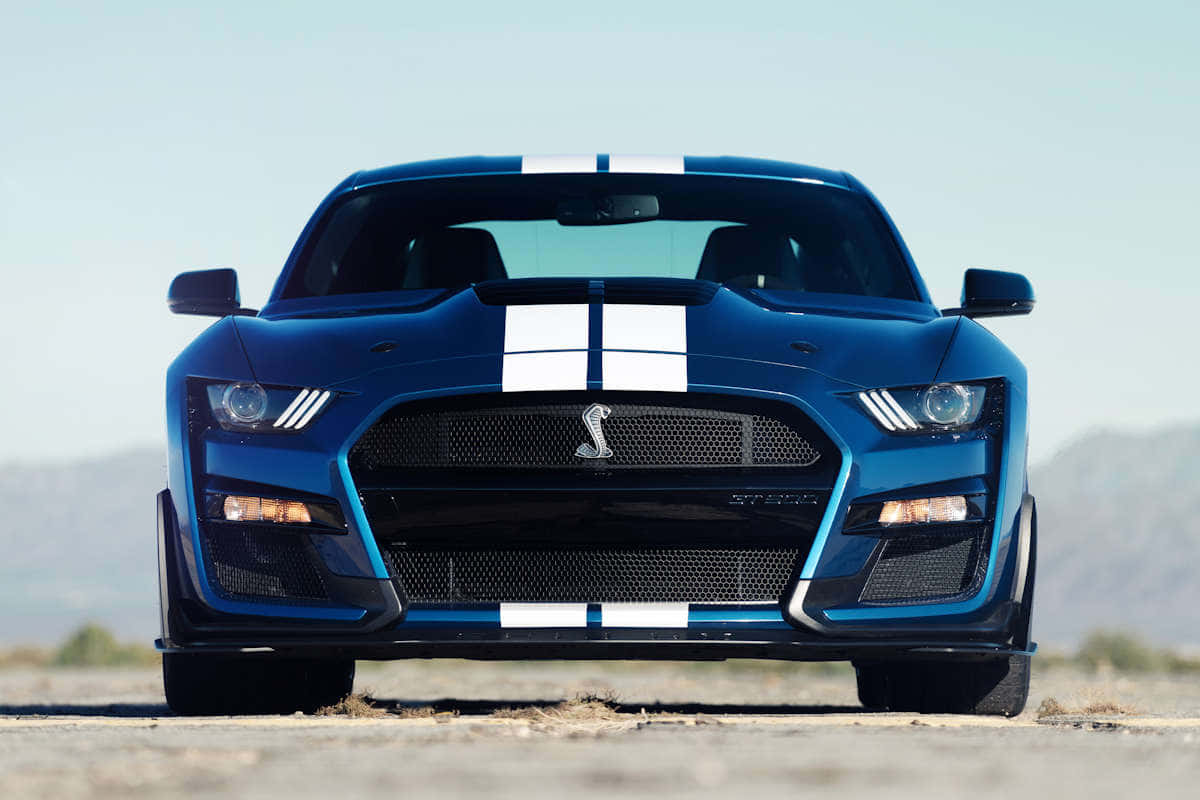 Blue Ford Mustang Shelby G T500 Front View Wallpaper