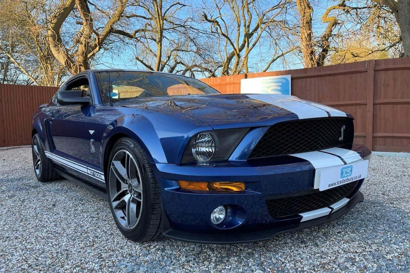 Blue Ford Mustang Shelby G T500 Parked Wallpaper